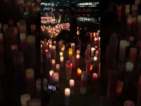【富山市】夜桜とキャンドルの幻想空間「SAKURAナイト」 at 環水公園 2025 - YouTube動画サムネイル