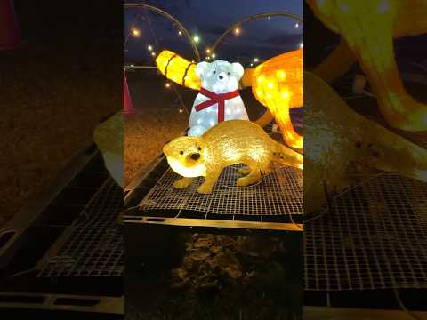 【小矢部市】イルミネーションと動物のみなさん「おやべイルミ2023」｜クロスランドおやべ - YouTube動画サムネイル