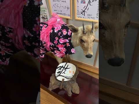 【滑川市】山の中の隠れた温泉♨みのわ温泉で、ねまられ〜(「休んでいってね」という富山弁)☺ - YouTube動画サムネイル