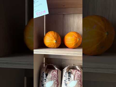 【富山市】すべて大沢野産！千石町通りの無人野菜直売所ベジスポ - YouTube動画サムネイル