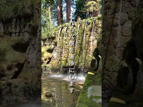 【上市町】高さ5.5m、6体の龍の口から流れ落ちる六本瀧（ろっぽんだき）｜大岩山日石寺 - YouTube動画サムネイル