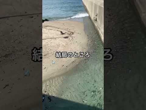 【滑川市】海魚？川魚？どっち？｜ほたるいかミュージアム周辺 - YouTube動画サムネイル