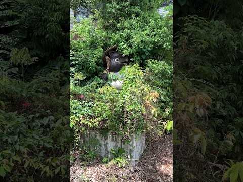【魚津市】バブル期の20年間を駆け抜けた旅館｜天神山温泉 宝泉閣(ほうせんかく)【廃墟】 - YouTube動画サムネイル