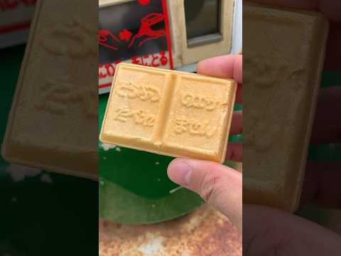 【射水市】100円で鯉のエサを購入、早速あげてみましょう！【主観餌付け】｜太閤山ランド - YouTube動画サムネイル