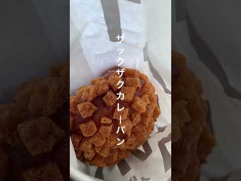 【砺波市】290円のザックザク食感カレーパンの奴隷になりました｜小麦の奴隷 砺波店 - YouTube動画サムネイル