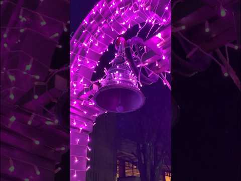 【砺波市】KIRA KIRA MISSION 2023｜砺波チューリップ公園 - YouTube動画サムネイル