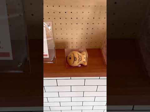 【富山市】すこし小ぶりなたいやきがかわいい！東富山高校近くの「鯛の陽」でほっこりしました - YouTube動画サムネイル