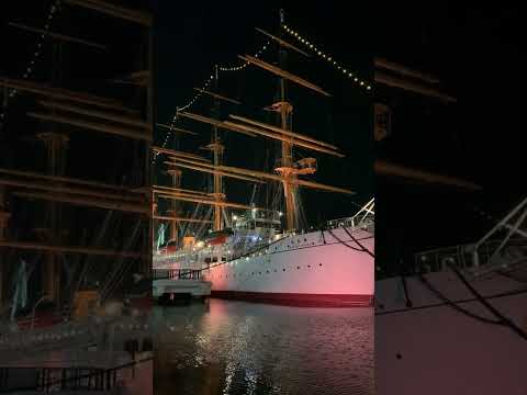 【射水市】4本のマストと純白の船体！夜の海王丸が凄すぎた！海の貴婦人「帆船 海王丸」 - YouTube動画サムネイル